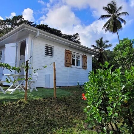 Grande Savane Ti-Hibiscus Bungalow T1 Clim-Wifi 30M2 2 Pers المظهر الخارجي الصورة